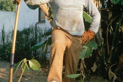 Photo: Joseph Sohm / Shutterstock.com