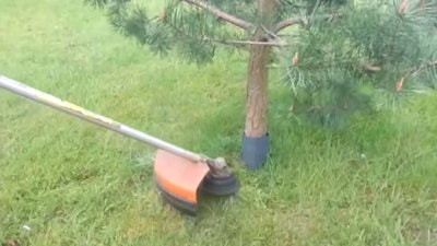 Mowing cheap around trees