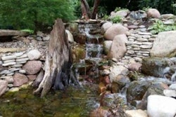 This water garden in North Kansas City has numerous pieces of driftwood from the Missouri River, creating the impression that the garden has been in place for many years. Photo: Good Earth Outdoor