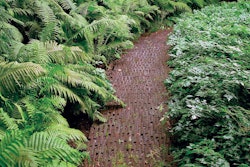 The path through this shade garden is made of flat stone laid on its edge, a nice complement to the ostrich fern that banks its left side. Photo: statebystategardening.com