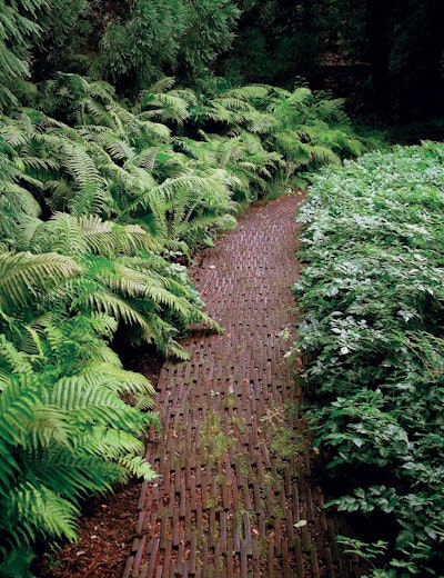 The path through this shade garden is made of flat stone laid on its edge, a nice complement to the ostrich fern that banks its left side. Photo: statebystategardening.com