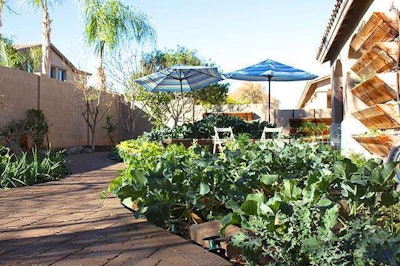 An edible landscape such as this one can be an attractive, peaceful place to relax outdoors. Photo: Agriscaping Technologies