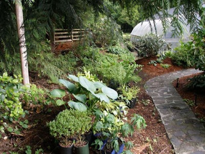 The types and placement of plants are key in both traditional landscaping and in planning an edible landscape. Photo: www.jbbardot.com