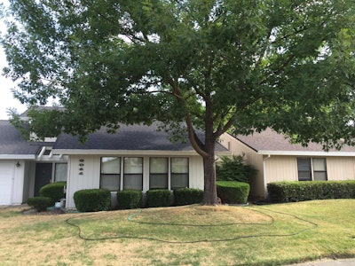 Set up a drip line at the edge of the tree’s canopy, not at the base of the tree. Photo: saveourwater.com