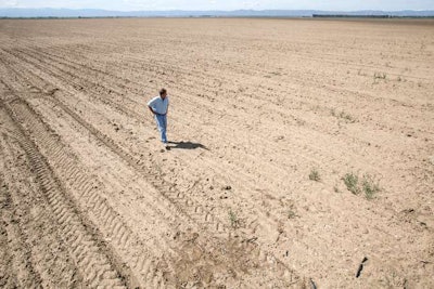Jobs are drying up along with the water as the California drought continues. Photo: blogautore.repubblica.it