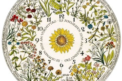 This a design of what Linnaeus’s potential flower clock may have looked like. Photo: Ursula Schleicher Benz