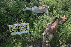 Goatscaping Company co-owner Elaine Philbrick will be on hand to discuss her cost-effective alternative to machines. Photo: gogreengoat.com