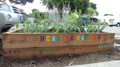 Healing gardens can be used to grow plants that have medicinal qualities. Photo: glad.is