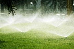 The revised ordinance will place further restrictions on water use. Photo: www.water.ca.gov