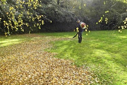 Residents in Sonoma County, California, are concerned about the health hazards leaf blowers cause. Photo: Derrick Knight
