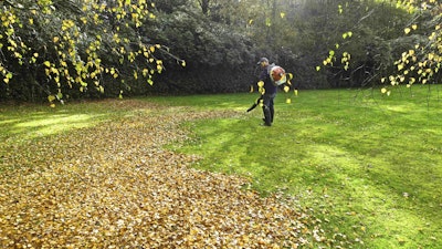 Residents in Sonoma County, California, are concerned about the health hazards leaf blowers cause. Photo: Derrick Knight
