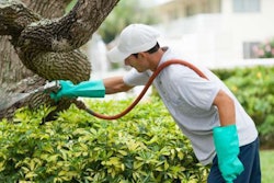 A landscaping maintenance worker sprays pesticide on shrubbery.