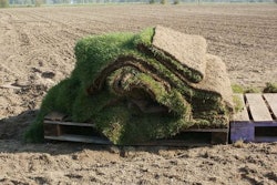 As California’s drought stretches on and homeowners remove their lawns, some believe there are more negative effects caused by replacing grass. Photo: pixabay.com