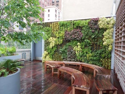 This living wall uses plants such as alchemilla, ajuga, epimedium and huechera to serve as a backdrop for an outdoor classroom space in an urban setting. Photo: Trevor Smith, Land Escapes Design