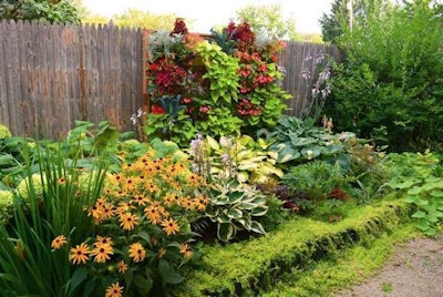 vert-garden5-Shawna-Coronado
