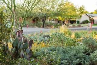 Photo: Coffman Studio (Leland Gebhardt Photography)