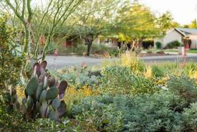 Photo: Coffman Studio (Leland Gebhardt Photography)