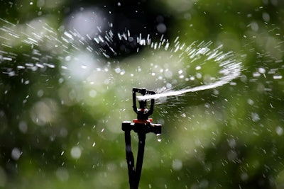 San Jose residents who are eligible can pay $500 to have their lawns re-landscaped to conserve water. Photo: connectourfuture.org
