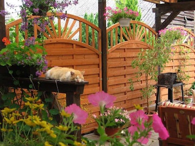 Fencing allows your clients to keep their pet safe from unexpected intruders, like local dogs. Photo: pixabay.com