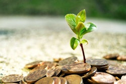 Money Growing2 Blog quizzle