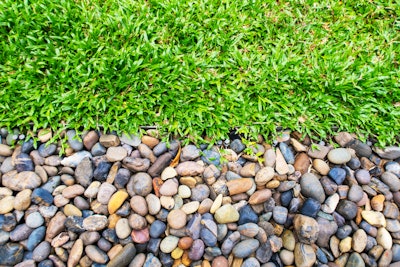 Providing a dog with only a certain portion of lawn can help prevent urine burns.