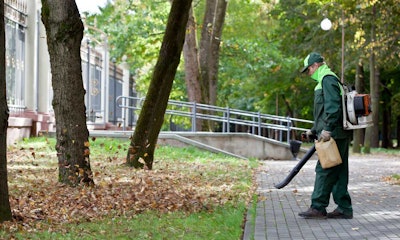 Leaf removal is just one of the services that you should offer with your fall cleanup. Photo: Shutterstock