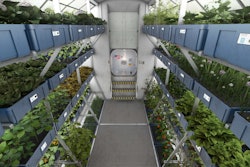 Crops from the plant growth system on the International Space Station’s orbiting laboratory are sample-ready for crew members of Expedition 44. Photo: NASA Images