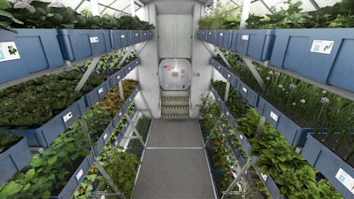Crops from the plant growth system on the International Space Station’s orbiting laboratory are sample-ready for crew members of Expedition 44. Photo: NASA Images