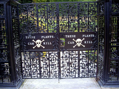 Within Alnwick Garden, its Poison Garden is sealed behind black wrought iron gates. Photo: biddenhamgardnersassociation.org