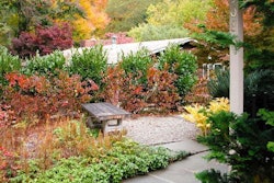 CHAPMAN-08-GreenHeart