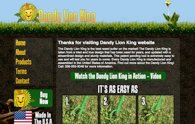 This website as a prominent call to action on the side bar and cuts to the chase: “Buy Now.” Photo: DreamCo Design