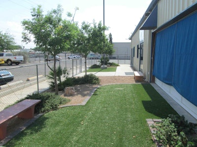 The Humane Society of Southern Arizona’s new 1,380-square-foot dog exercise yard after the landscaping makeover. Photo: Santa Rita Landscaping