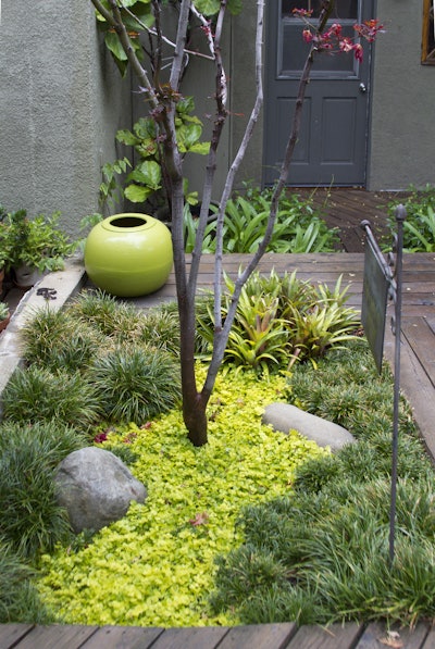 Here’s an example of how using swaths of color can create a calming and de-cluttered sensation. Changes of scale with dwarf and large Mondo grass add interest. Photo: Ketti Kupper