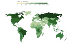 This map shows the number of trees in each country. Click here to view the interactive heat map. Photo: Nature