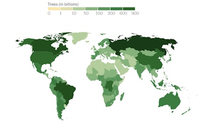 This map shows the number of trees in each country. Click here to view the interactive heat map. Photo: Nature