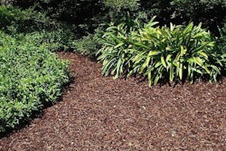 Mulch offers plenty of cosmetic benefits as well as water conservation. Photo: University of California
