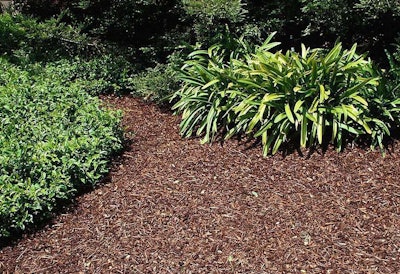 Mulch offers plenty of cosmetic benefits as well as water conservation. Photo: University of California