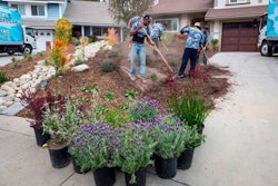 Riverside’s turf removal rebate program has been revived, allowing residents to swap out their lawns for xeriscaping. Photo: TurfTerminators.com