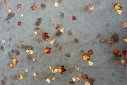 leaf-stains-tony-alter-flickr