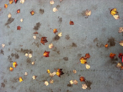 Leaves that are not swept up can result in unsightly stains that are hard to remove from hardscape surfaces. Photo: Tony Alter/Flickr