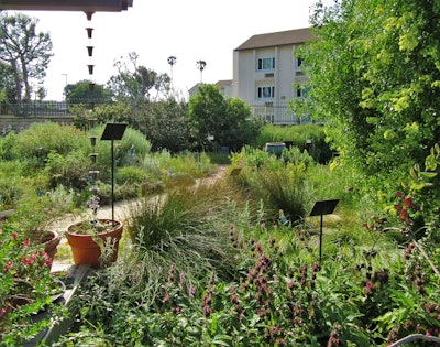Rain chains can add a decorative detail to the outside of the house. Photo: California Native Plant Society/Flickr