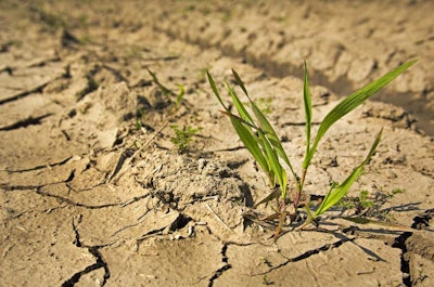 California and some other parts of the Western United States have been in a severe drought for more than four years.