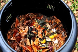 shutterstock_90064483