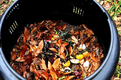 Composting is just one of the uses carbon-rich fall leaves can be used for.