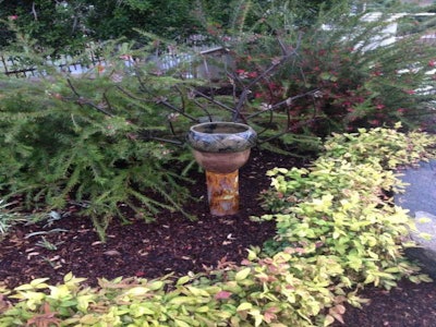 Henson’s Sweet Peas currently take four to five weeks to make. Photo: Maranatha Landscaping