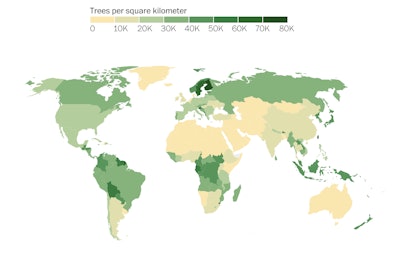 This map shows the density of trees around the world. Click here to view the interactive heat map. Photo: Nature