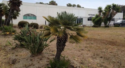 The half-acre parcel of land will be converted into a veterans honor garden. Photo: Linda McIntosh/The San Diego Union-Tribune