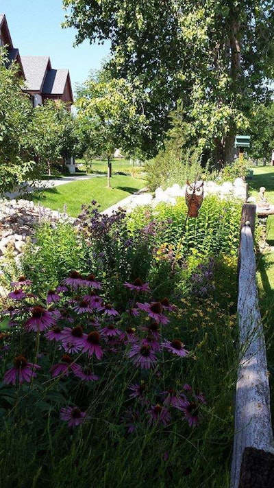An example of work completed in 2014 by CoCal Landscape of Denver, where NHLA board member Mari Medrano Mejia serves as director of human resources. Photo: CoCal Landscape