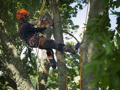 The new clearing saw for professionals can handle trunks or limbs up to 5.9 inches in diameter. Photo: Husqvarna Group