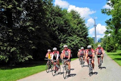 The annual fundraising event is in its 23rd year and has raised more than $7 million for tree-related research. Photo: Stihl